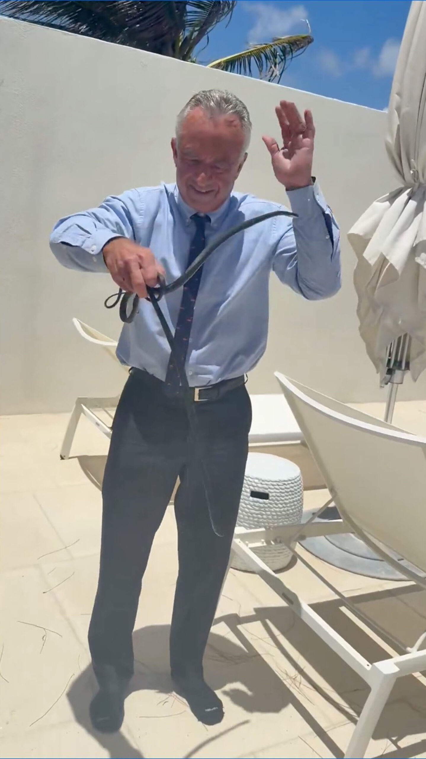 RFK Jr. snatches two black racer snakes off Dr. Oz’s patio in bonkers video