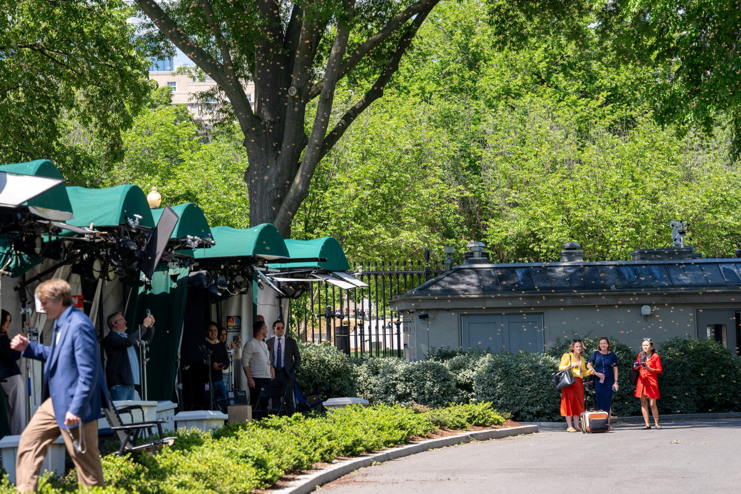 Massive ‘bee tornado’ swarms White House grounds — bombards press corps