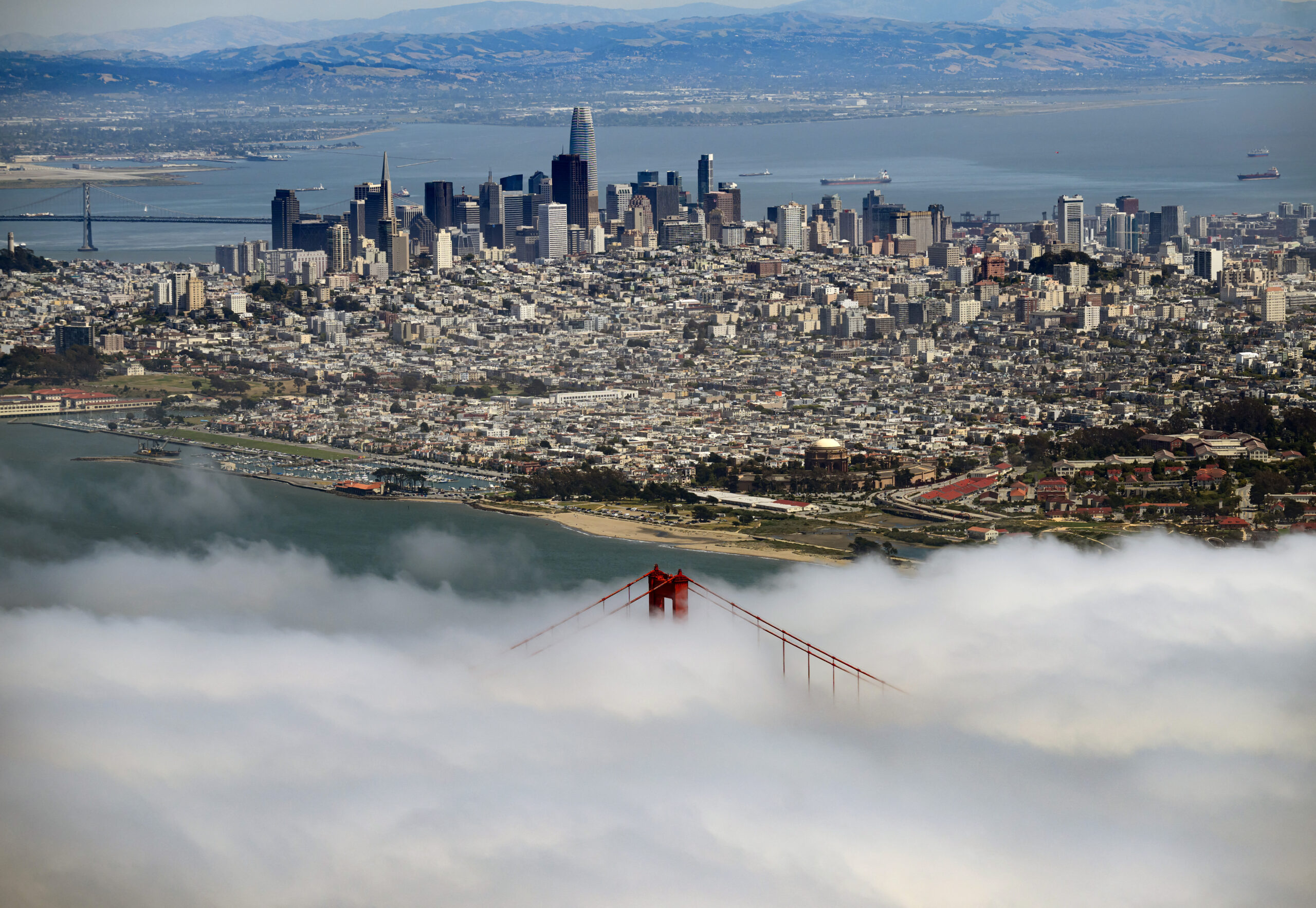 New Billionaire Tax odds reveals huge swing in chance of becoming California law