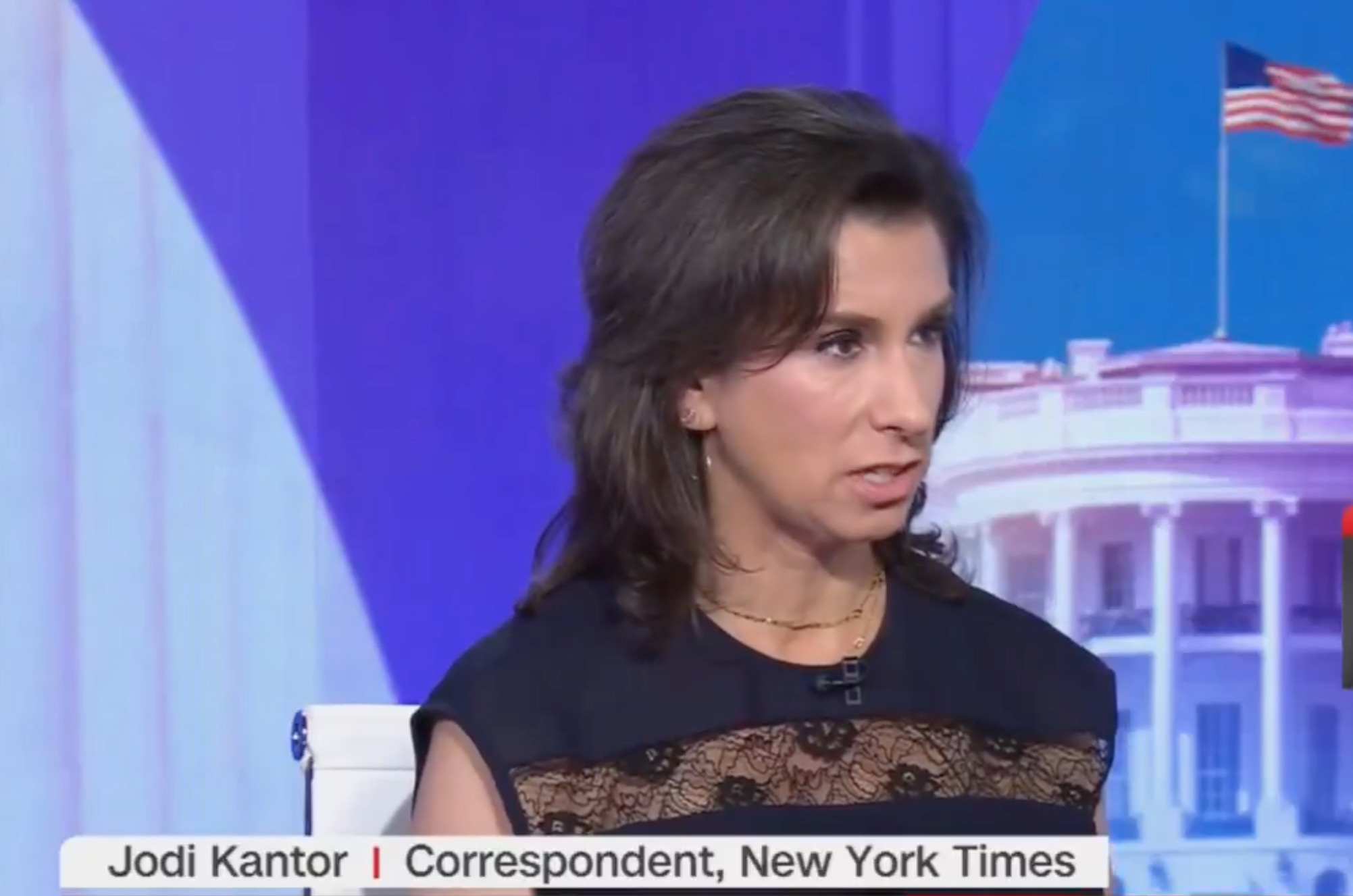 New York Times reporter downplays accusations against Graham Platner as ‘not like classic abuse allegations’ 