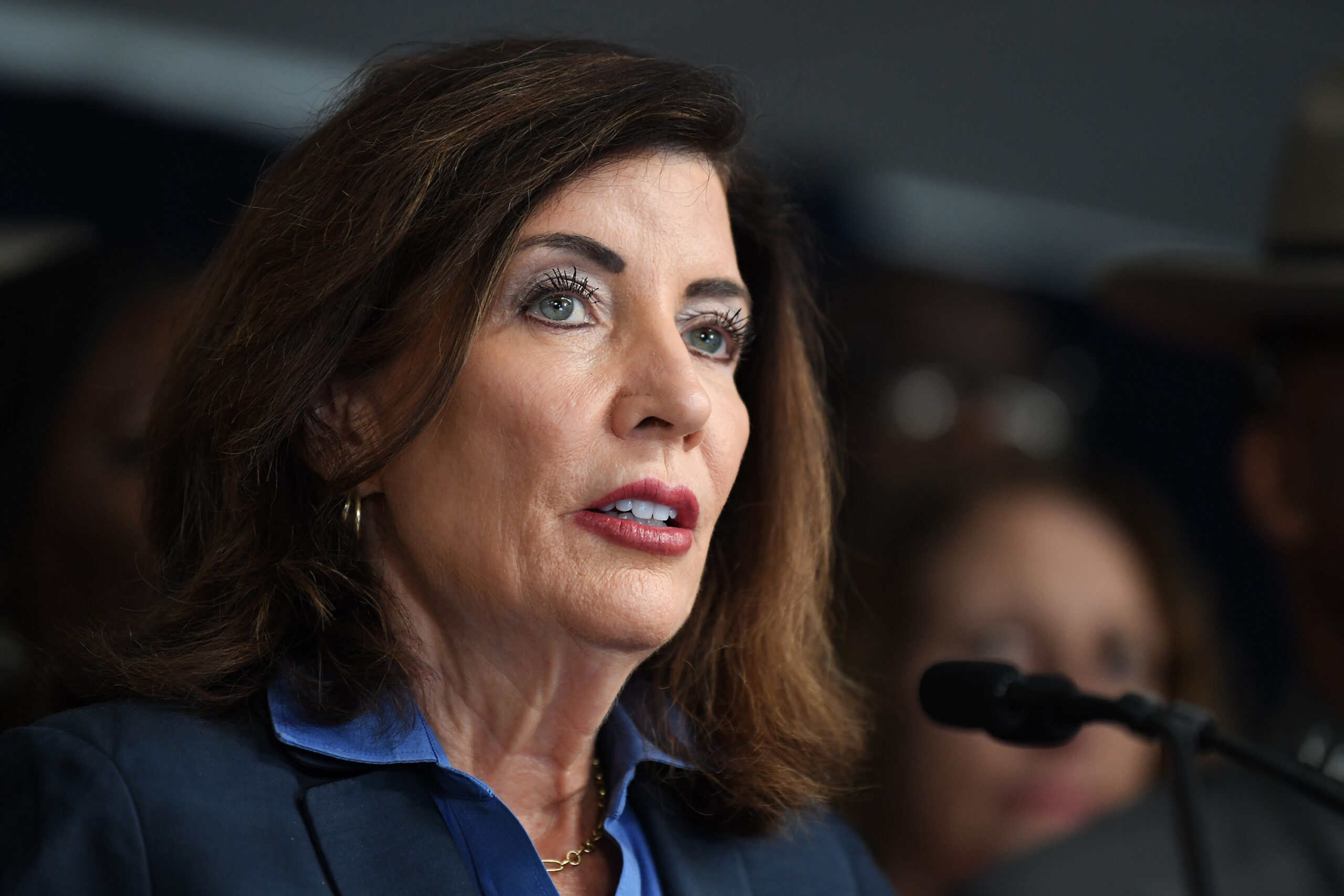 Gov. Who-chul? Long Island Dems don’t mention Hochul on election websites