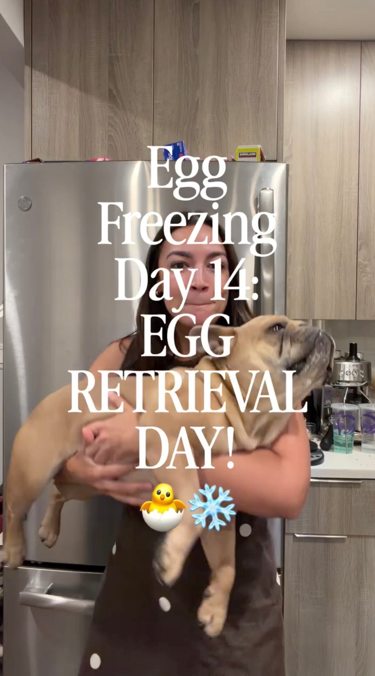 AOC announces completion of egg retrieval journey, vows to share more public updates on process