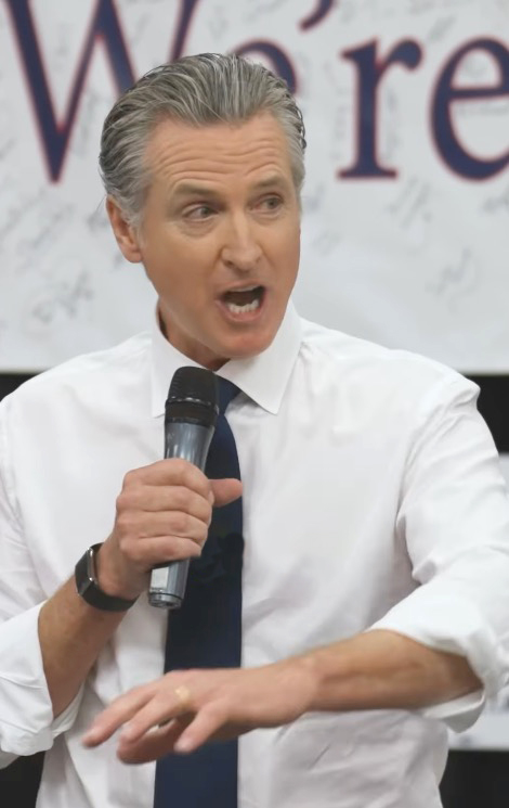 Dems turn on Gavin Newsom in Michigan as his visit is brutally panned