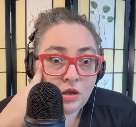 DSA bigwig struggles to explain what ‘taxing the rich’ means in embarrassing interview: ‘Privileged idiot’